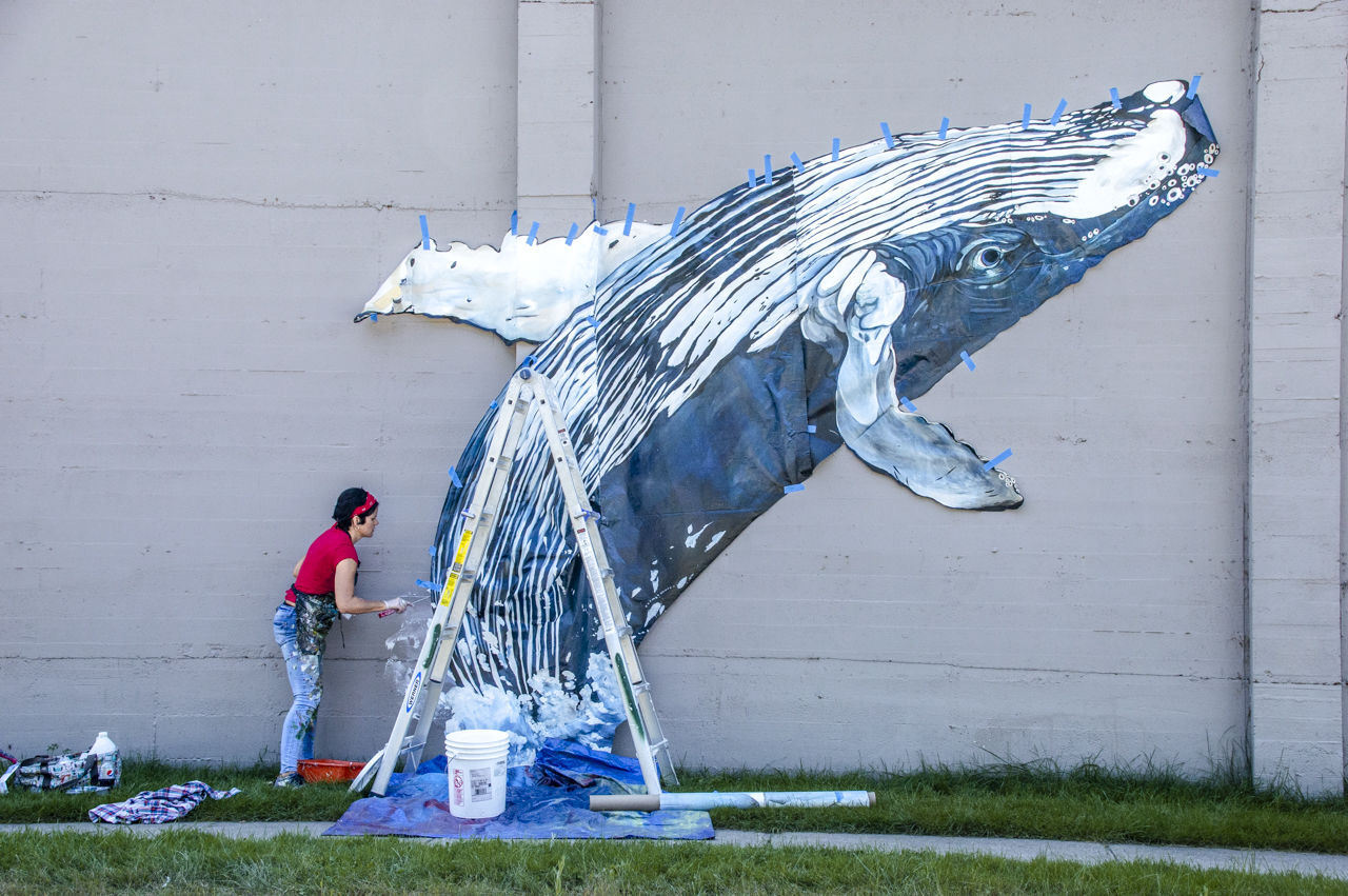 Whale on the Corner